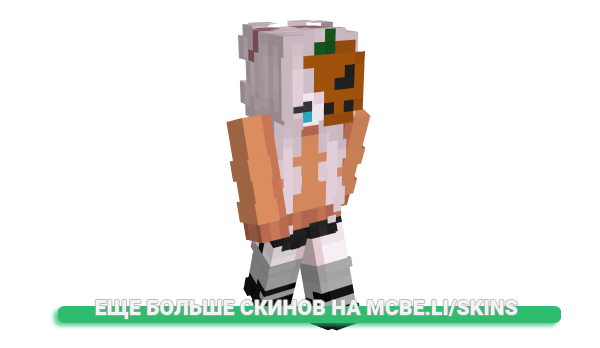 Скин minibirdlife для майнкрафт