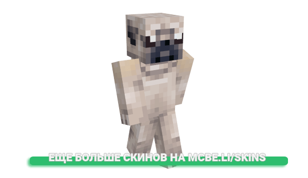 Скин Sanycth для майнкрафт