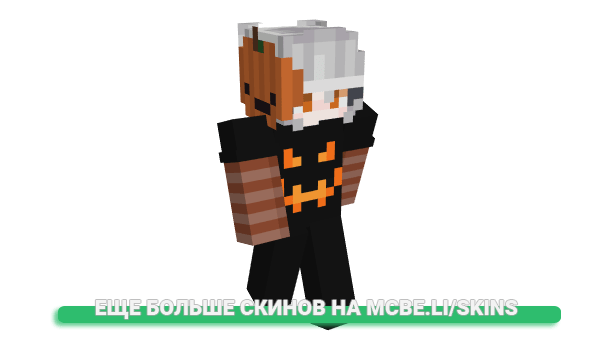 Скин uniaoflasco для майнкрафт