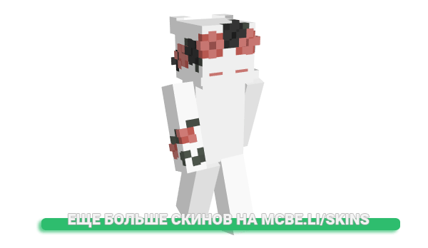 Скин Visster для майнкрафт
