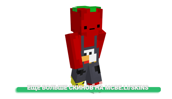 Скин BrakujeMiSkilla для майнкрафт