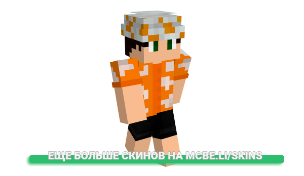 Скин CampingBus для майнкрафт