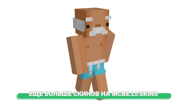 Скин SEN_virgil для майнкрафт
