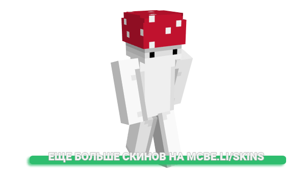 Скин birrbo для майнкрафт