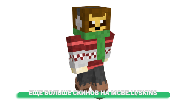 Скин RealLiones для майнкрафт